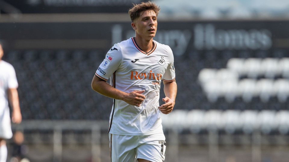 Swansea City v Rio Ave Gallery