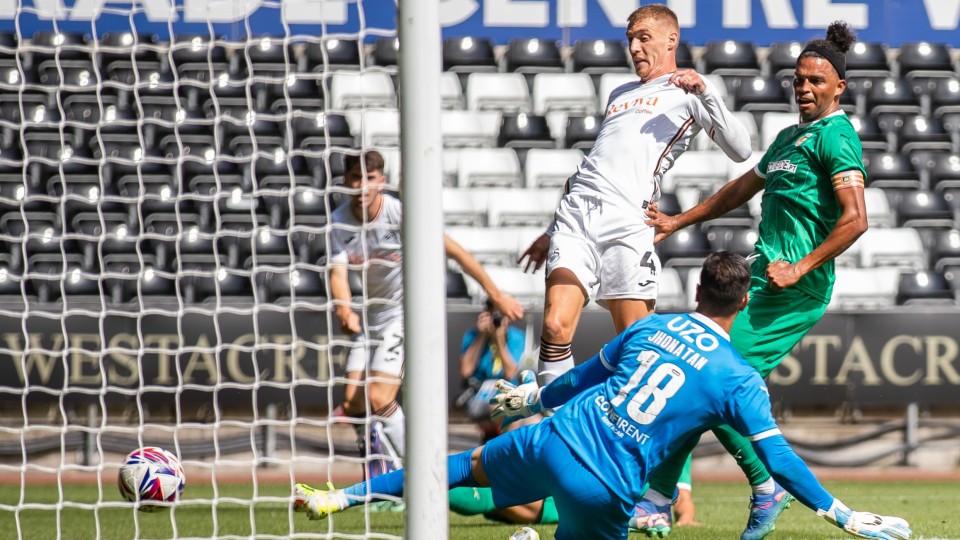 Swansea City v Rio Ave Gallery
