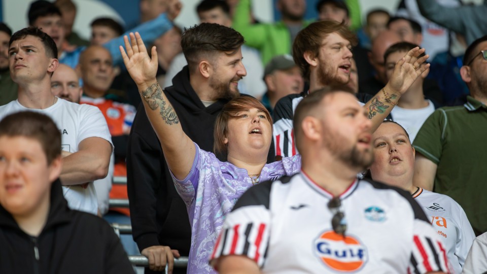 Fan Gallery Norwich