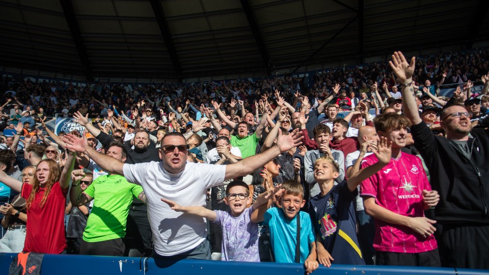 Fan Gallery Norwich