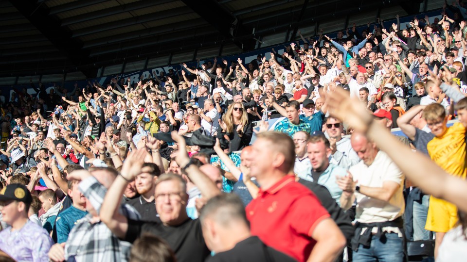 Fan Gallery Norwich