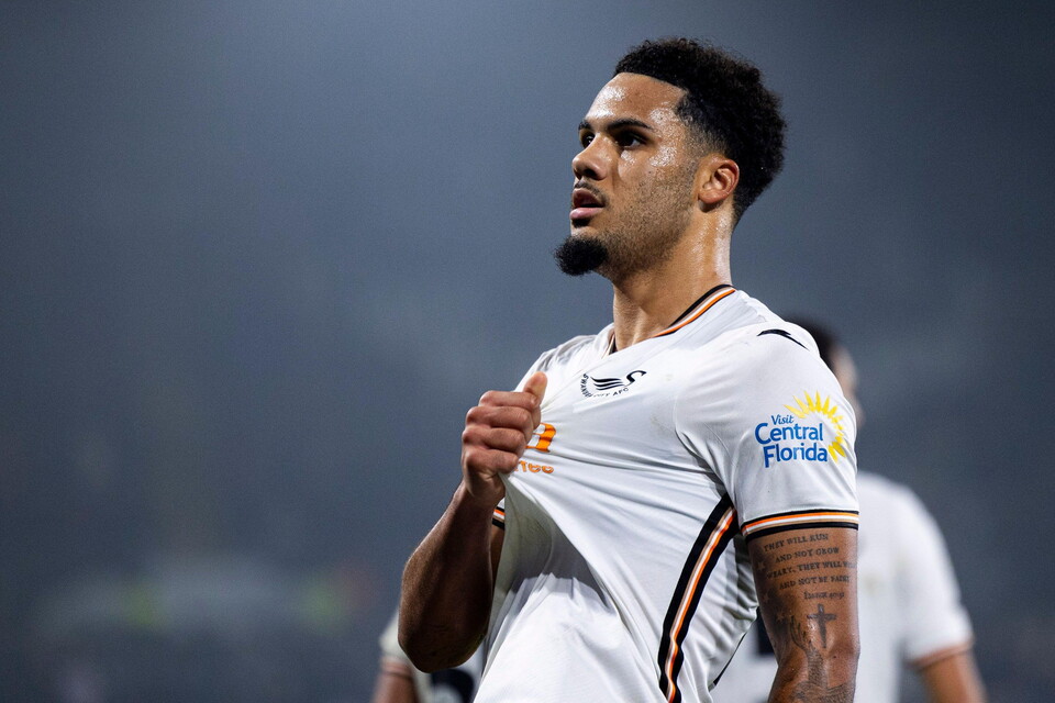 Gallery | Swans v Watford