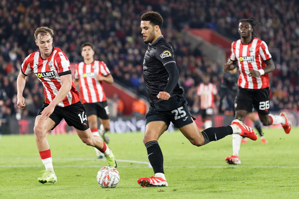 Gallery | Southampton v Swansea City