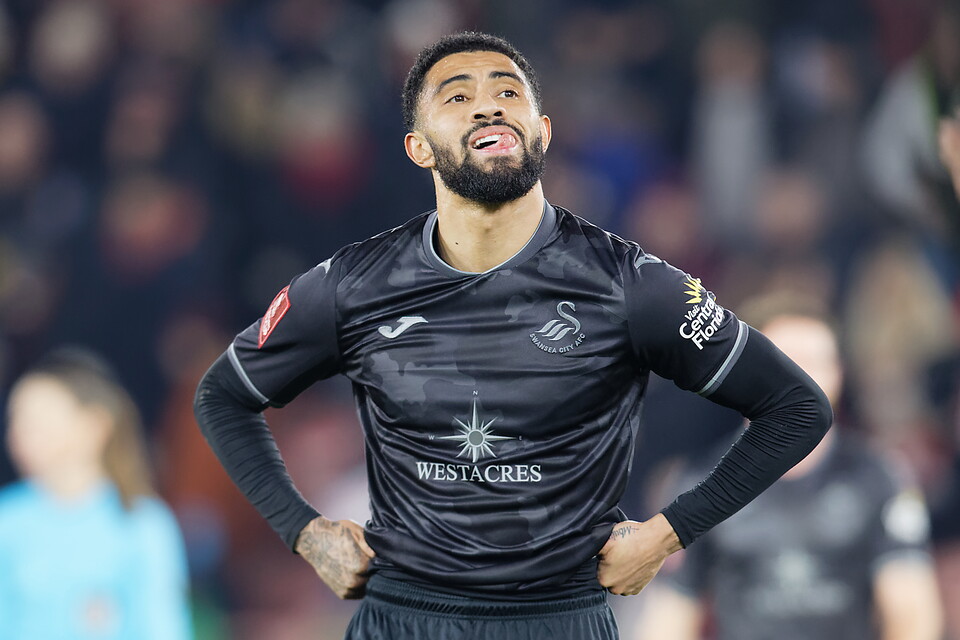 Gallery | Southampton v Swansea City