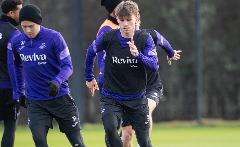 Gallery | SWD Preparations