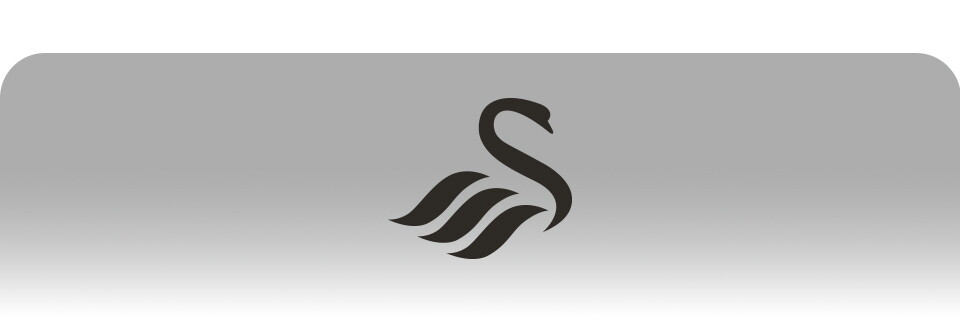 generic-swans-titlecard-24-25