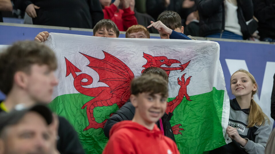 Fan Gallery | Swans v Plymouth Argyle