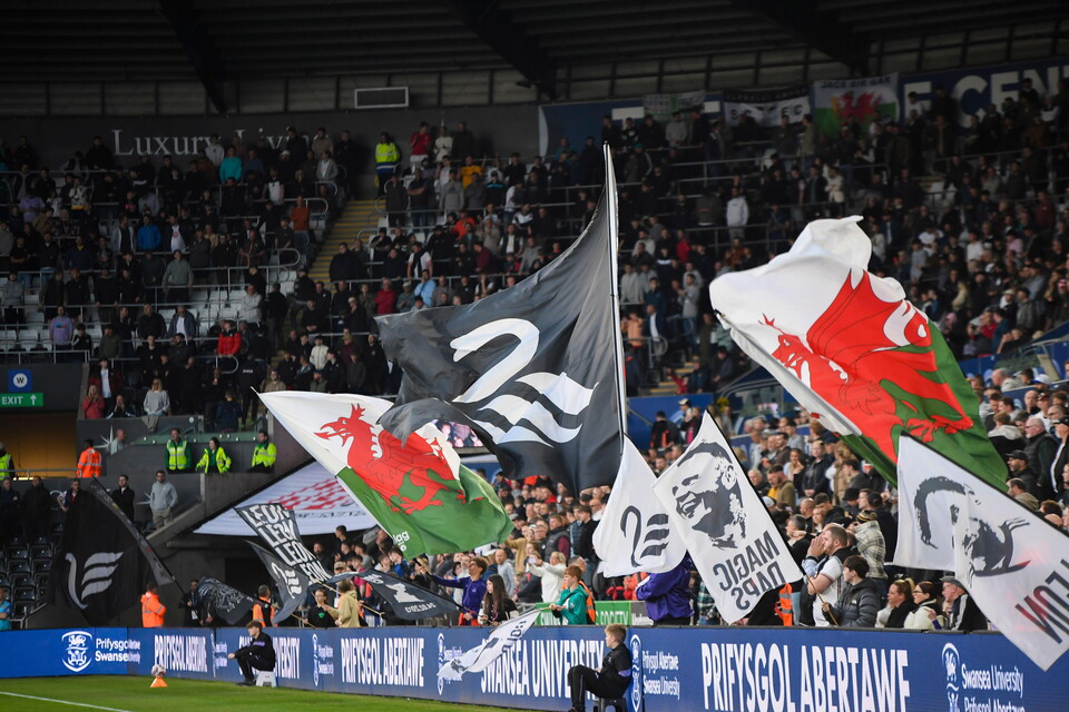 Swans flag wall