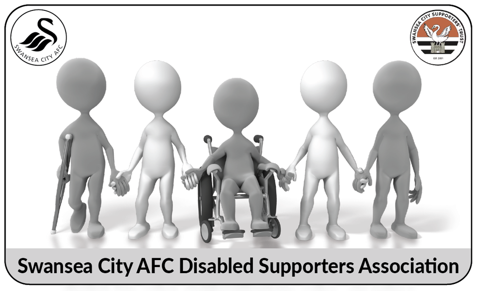 Swansea City DSA Logo