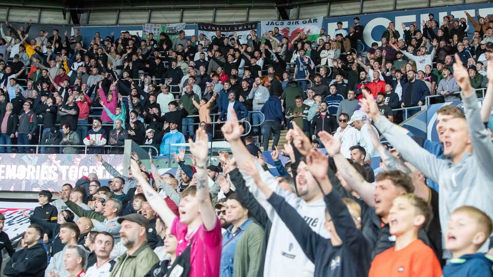 Swans Fans