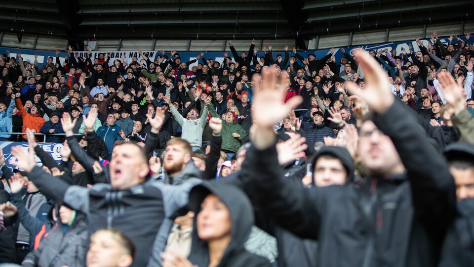 Swans Fans