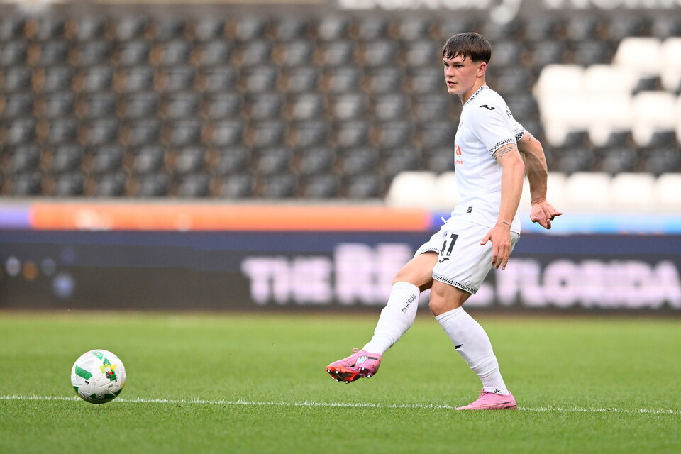 Gallery | Swansea City v Crawley Town