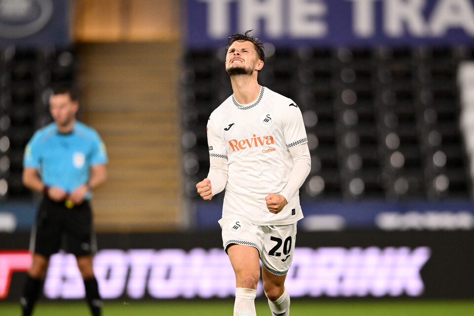 Gallery | Swansea City v Plymouth Argyle