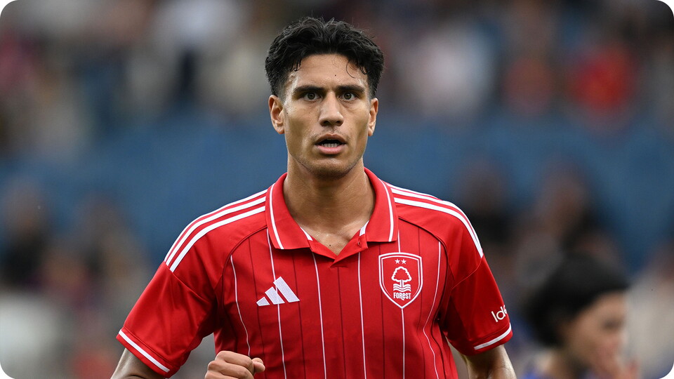 Stamenic in Forest kit