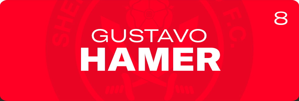 Gustavo Hamer