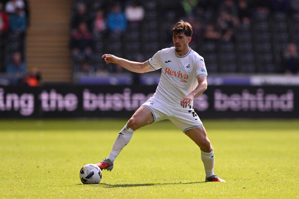 Gallery | Swansea City v Millwall