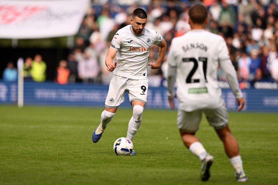 Gallery | Swansea City v Millwall