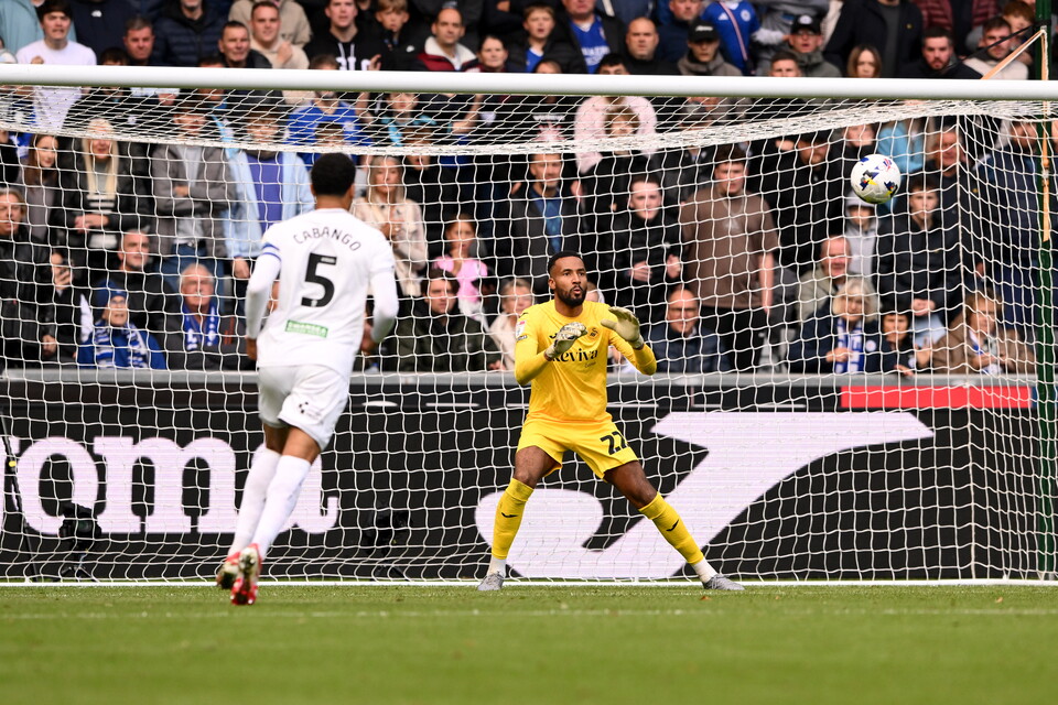 Gallery | Swansea City v Leicester City