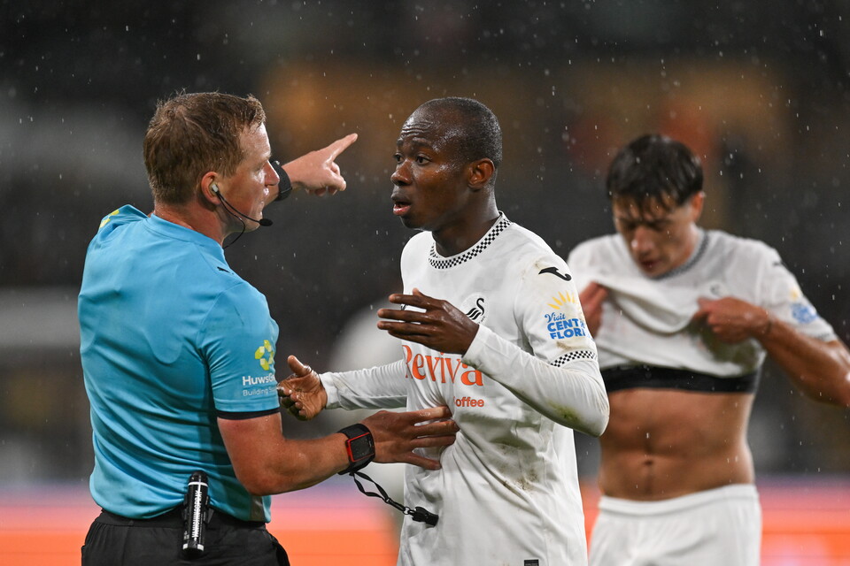 Gallery | Swansea City v QPR