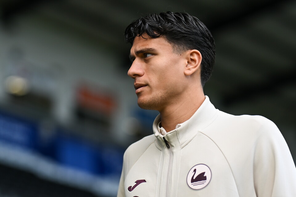 Gallery | Swansea City v Norwich City