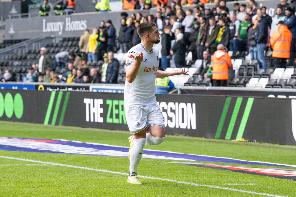 Gallery | Swansea City v Norwich City