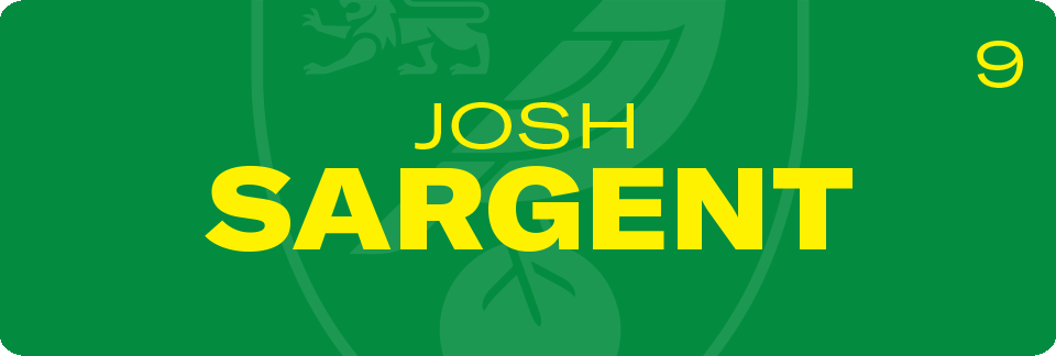 player_3_-_1-norwich-city