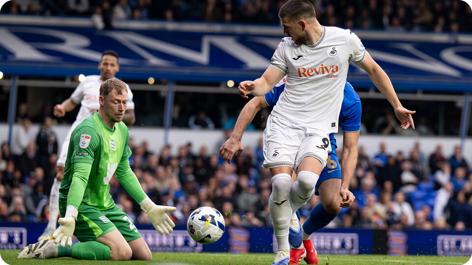 Vipotnik v Birmingham