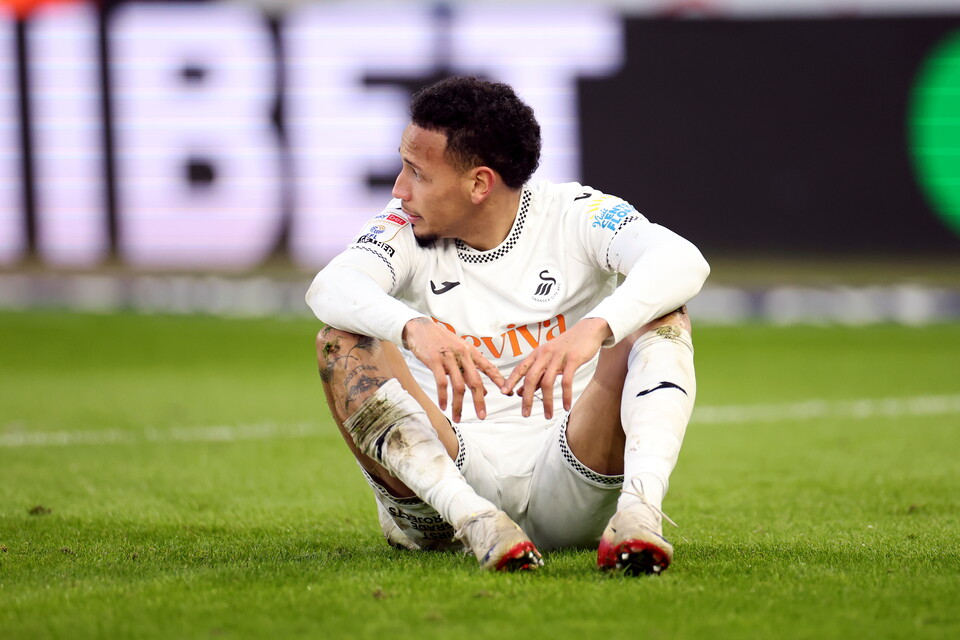 Gallery | Swansea City v WBA