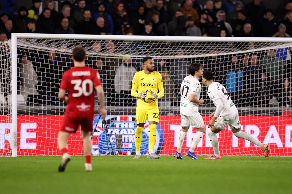 Gallery | Swansea City v Birmingham City