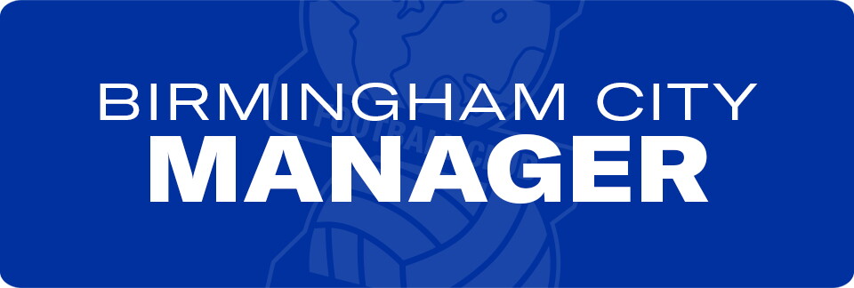 Birmingham City Manager