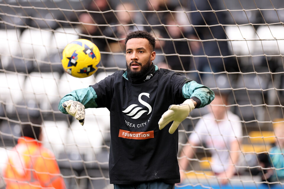 Gallery | Swansea City v Sheffield Wednesday