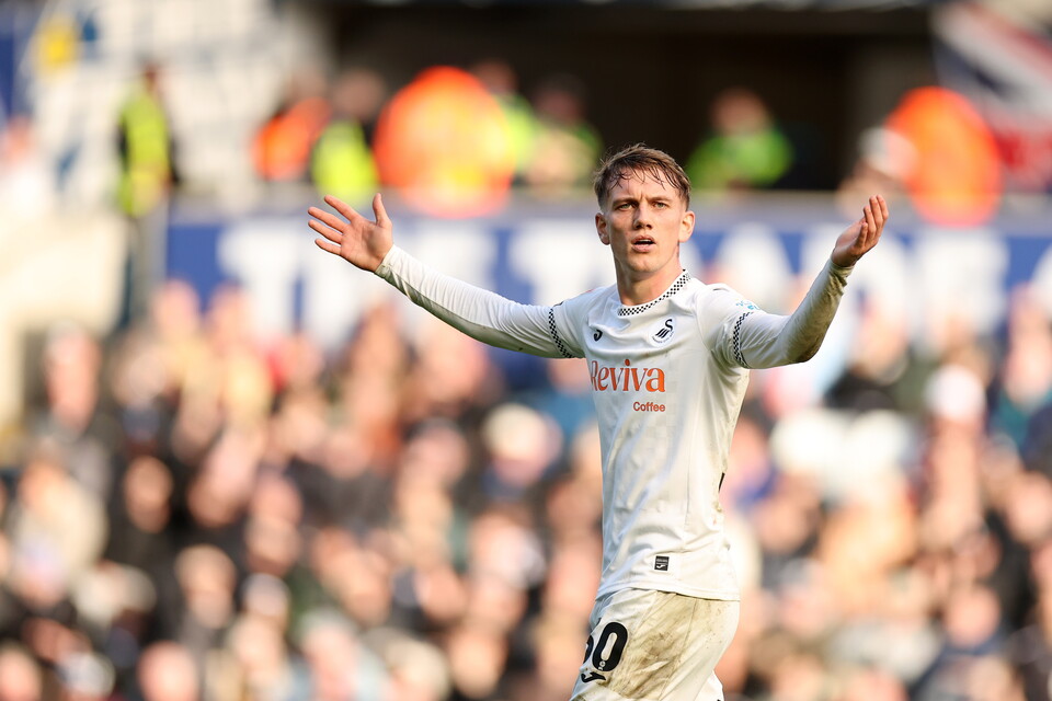 Gallery | Swansea City v Sheffield Wednesday