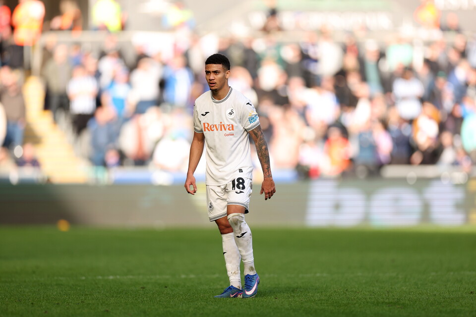 Gallery | Swansea City v Sheffield Wednesday