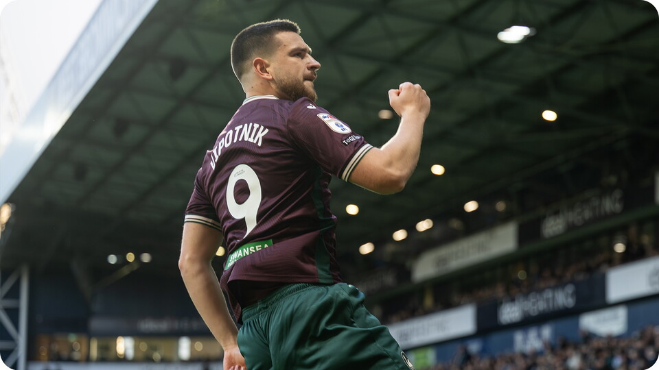 Vipotnik v West Brom