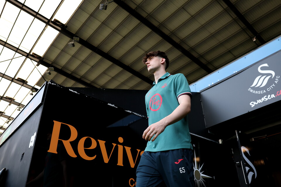 Gallery | Swansea City v Newcastle