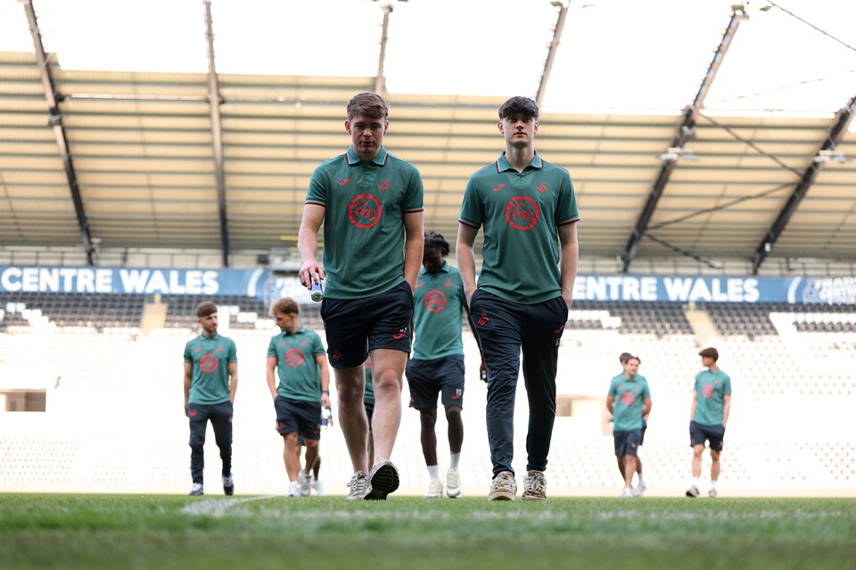 Gallery | Swansea City v Newcastle