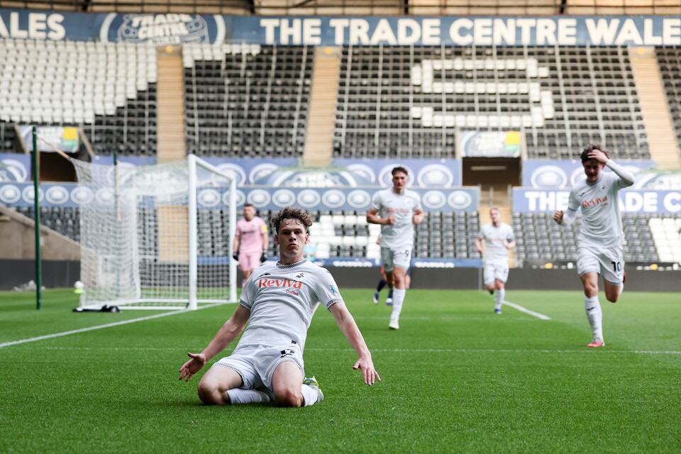 Gallery | Swansea City v Newcastle