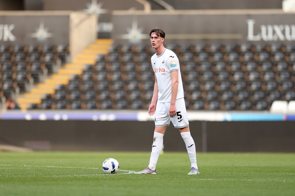 Gallery | Swansea City v Newcastle