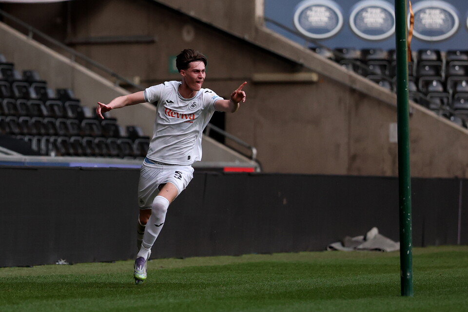 Gallery | Swansea City v Newcastle