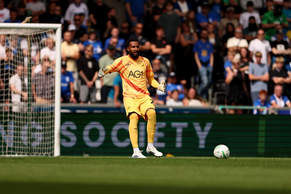Gallery | Swansea City v Birmingham City 