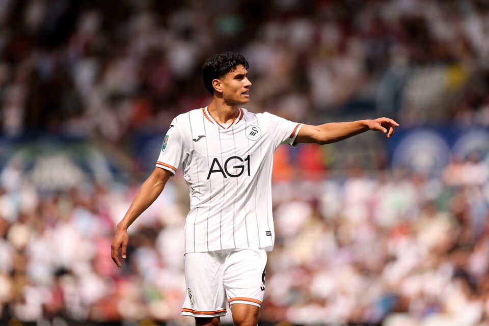 Gallery | Swansea City v Birmingham City 