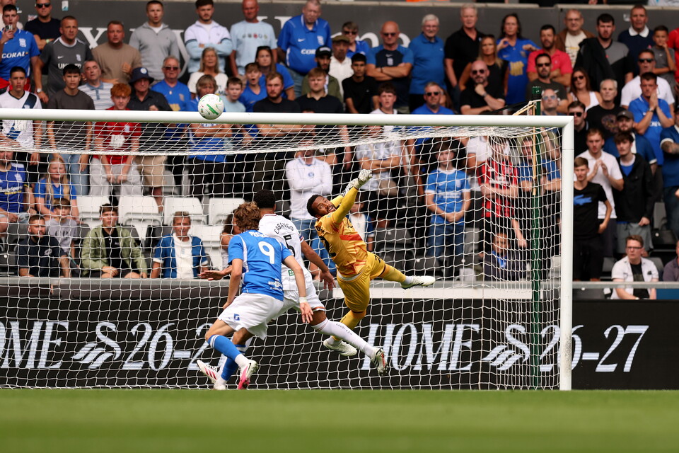 Gallery | Swansea City v Birmingham City 