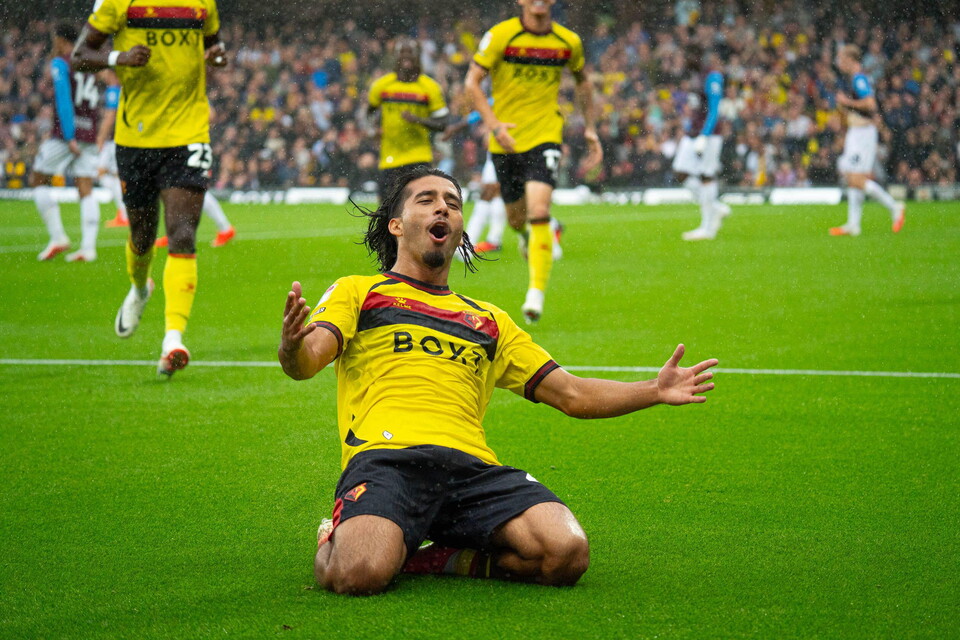 watford 
