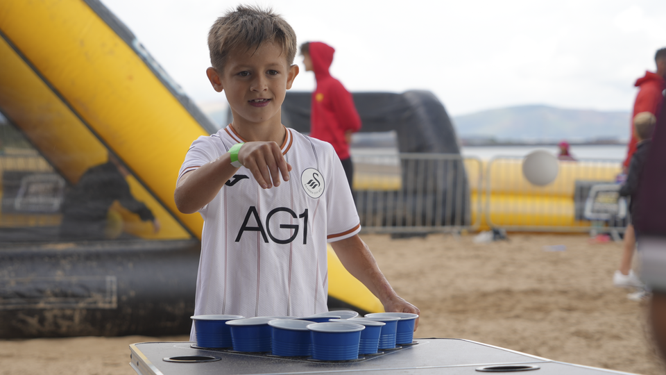 Swansea City beach day