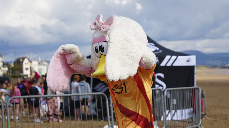 Swansea City beach day