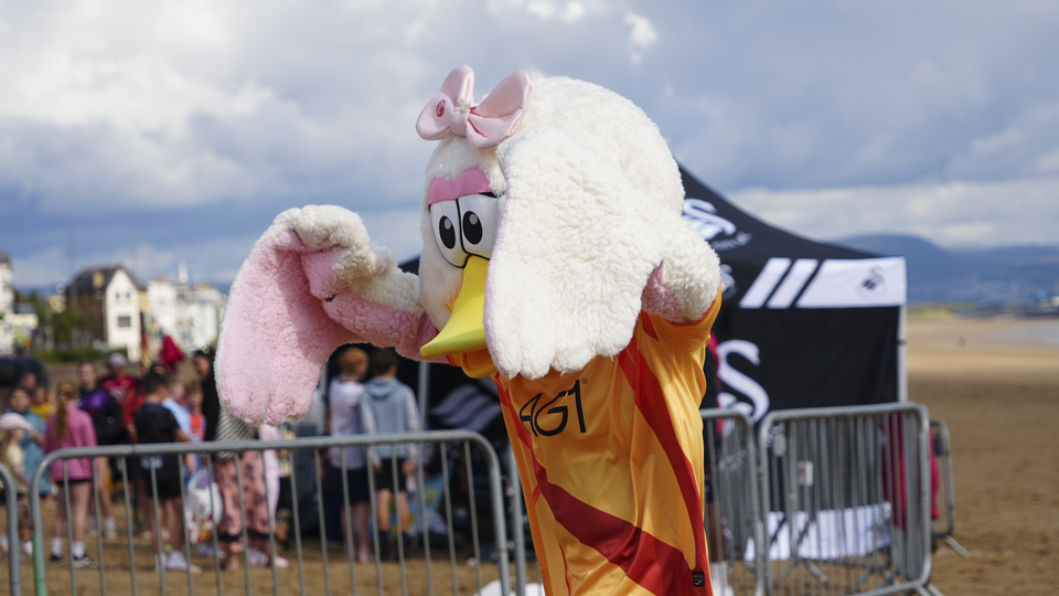 Swansea City beach day
