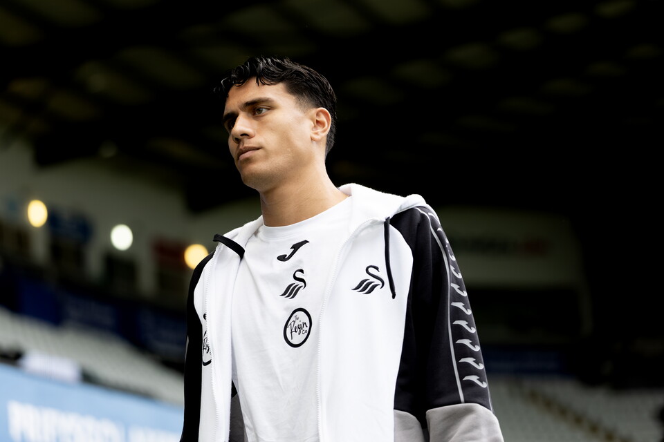 Gallery | Swans v Watford