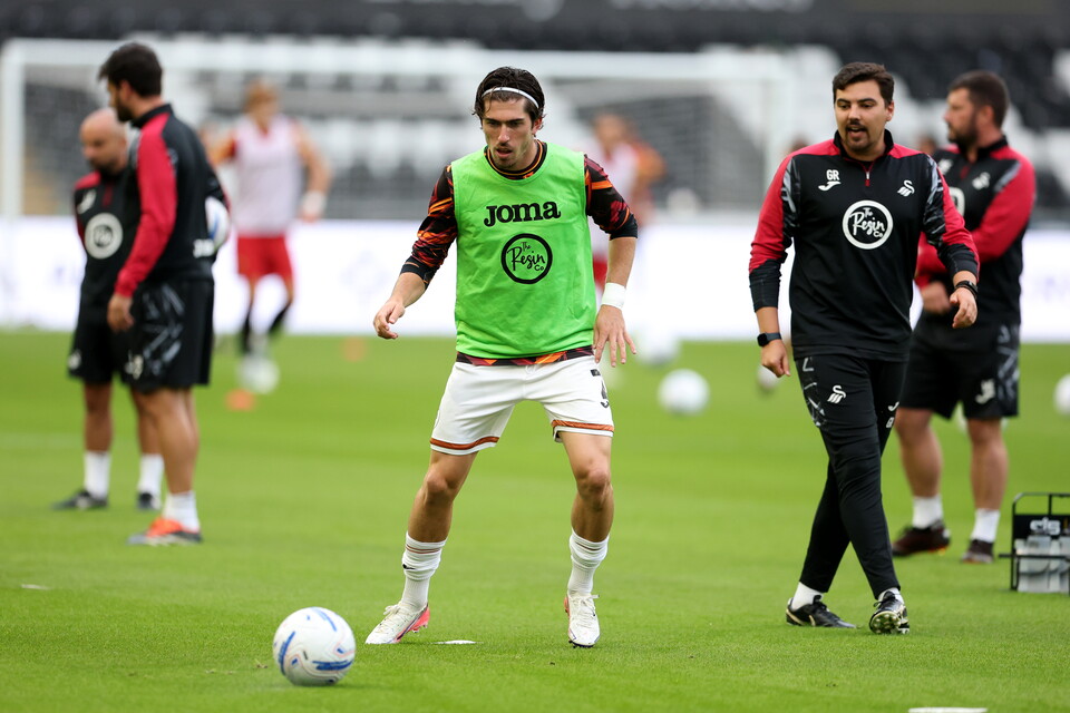 Gallery | Swans v Watford