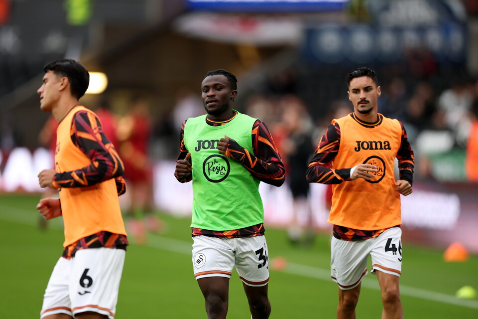 Gallery | Swans v Watford