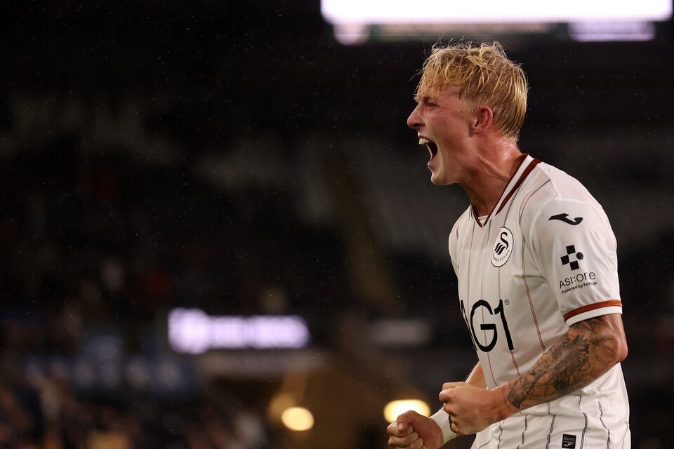 Gallery | Swans v Watford